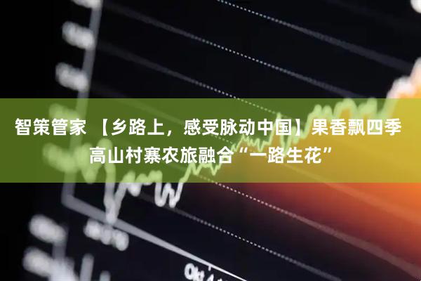 智策管家 【乡路上，感受脉动中国】果香飘四季 高山村寨农旅融合“一路生花”
