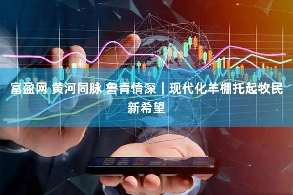 富盈网 黄河同脉 鲁青情深｜现代化羊棚托起牧民新希望