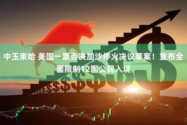 中玉束哈 美国一票否决加沙停火决议草案！宣布全面限制12国公民入境