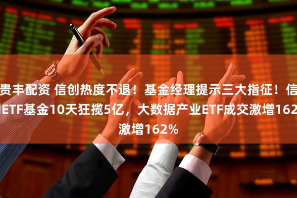 贵丰配资 信创热度不退！基金经理提示三大指征！信创ETF基金10天狂揽5亿，大数据产业ETF成交激增162%