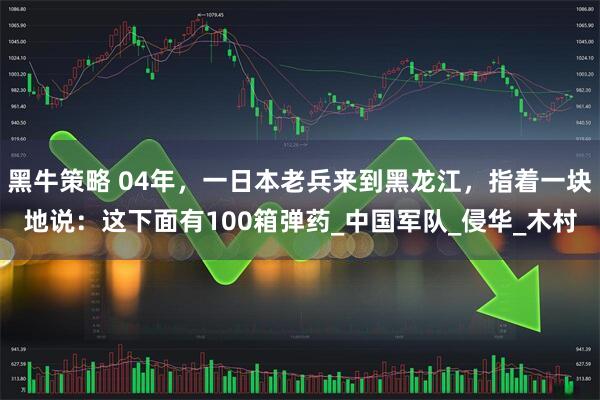 黑牛策略 04年，一日本老兵来到黑龙江，指着一块地说：这下面有100箱弹药_中国军队_侵华_木村