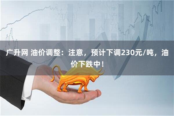 广升网 油价调整：注意，预计下调230元/吨，油价下跌中！