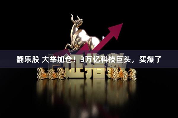 翻乐股 大举加仓！3万亿科技巨头，买爆了