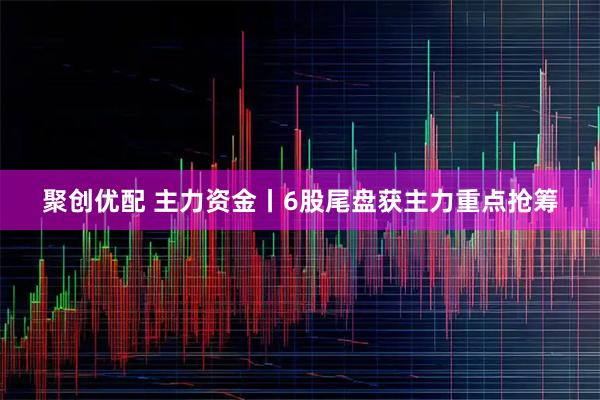 聚创优配 主力资金丨6股尾盘获主力重点抢筹
